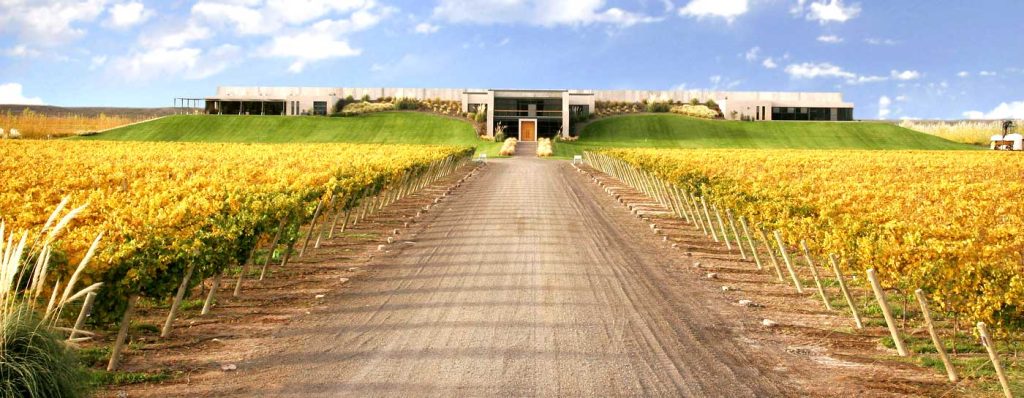 Bodega Malma Argentina