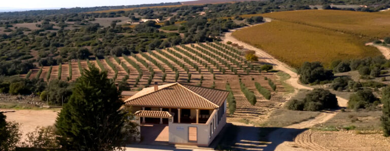 Martinez-Zabala DO-La-Mancha