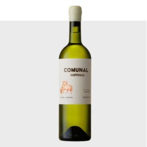 Comunal de Pastoral Semillon 2025
